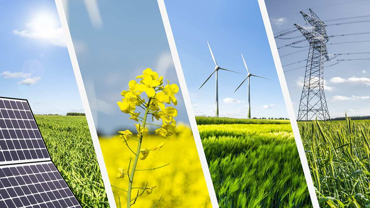 2025 — declared the Year of Environmental Protection and Green Economy