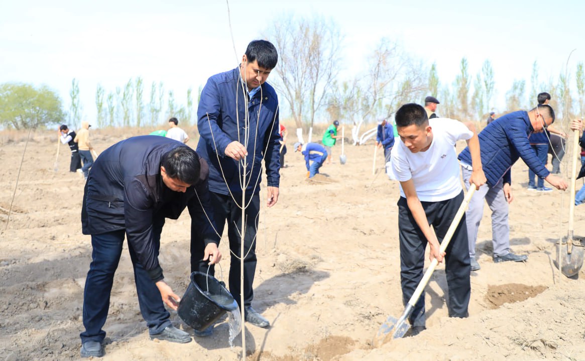 The team of KSU took an active part in the national project «Yashil Makon.»